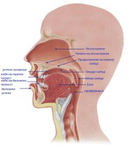 аутизъм Русе,Логопед в Русе, логопеди в Русе, logoped-ruse, logopedi-ruse, Логопед в Русе, Логопеди в Русе, добри логопеди в Русе, добър логопед в Русе