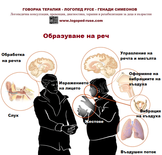 Гласообразуване, Логопед в Русе; логопедична помощ в Русе; логопеди в Русе; добър логопед в Русе; добри логопеди в Русе; как да се справя с говорния си дефект - проблем; коригиране на говорен дефект в Русе; говорен терапевт в Русе; как да намеря логопед в Русе; детски логопед; добър детски логопед; логопед за възрастни в Русе; логопедични центрове в Русе; логопедичен център в Русе, логопедичен кабинет в Русе; логопедични кабинети в Русе; Логопедична помощ при деца с аутизъм; Афазия; мозъчен инсулт Русе; късно проговаряне логопедична помощ; Блокиране на говора; възстановяване след прекаран инсулт в Русе, Генерализирани разстройства на развитието помощ в Русе; Дислексия; Заекване; Затруднения за смятане и сметни операции; Затруднения при писане; Затруднения при четене;Помощ при аутизъм в Русе; Късно начало на речта; Липса на реч; Нарушение на звукопроизношението; Общо недоразвитие на речта; Поражения на ЦНС (централната нервна система); Разпад на речта в резултат на инсулт и възстановяване в Русе; Разстройства от аутистичния спектър в Русе, помощ на деца от аутистичен спектър в Русе; Специфични обучителни трудности; Хиперактивност с или без дефицит на вниманието; Церебрална парализа; аутизъм Русе; внимание и памет Русе; Замяна или неправилно произнасяне на един звук или групи звукове; деца езикови говорни нарушения консултация и корекция логопедичен кабинет Русе; логопедични занимания логопед Русе; логопед Русе; менингит-енцефалит; слуховото и тактилно възприятие; черепно-мозъчна травма засягане на говора и речта помощ в Русе; логопедична помощ при деца с увреждания; деца аутисти в Русе; нарушения на общуването при деца с увреждания Русе; детето ми заеква помощ; добър логопед в Русе; заекване Логопед в Русе; Логопеди в Русе; добри логопеди в Русе; добър логопед в Русе; заекване при възрастни; заекване лечение; заекване при деца лечение Русе; заекване от уплаха Русе; корекция на заекване при деца Русе; заекване при малки деца; заекване хомеопатия; заекване лекуване.