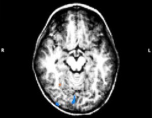 писане на ръка 